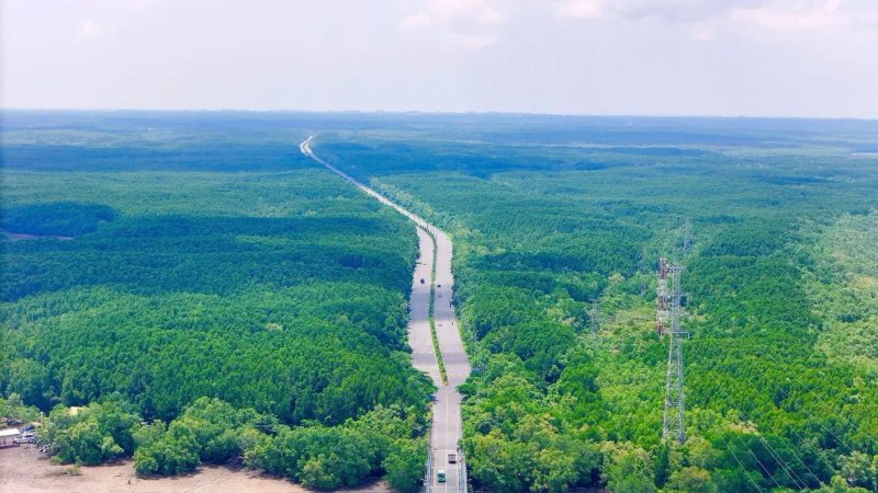 image-3-nhom-dot-pha-huong-loi-tu-tuyen-duong-sat-cao-toc-vinhomes-can-gio-31