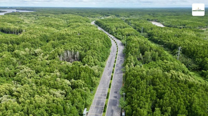 image-cau-can-gio-khoi-cong-2025-don-dau-lan-song-tang-gia-manh-nhat-thap-ky-50