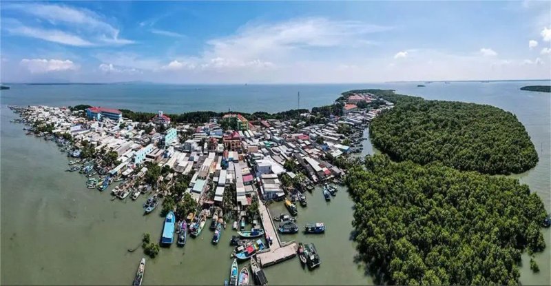 image-hanh-lang-ven-bien-can-gio-vung-tau-kich-hoat-dong-luc-phat-trien-kinh-te-moi-10