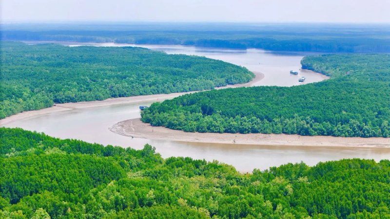 image-hanh-trinh-kien-tao-sieu-do-thi-bien-vinhomes-can-gio-song-xanh-ben-vung-10